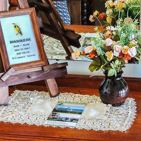 Amzee Bokmakierie Guest House Dana Bay Zewnętrze zdjęcie