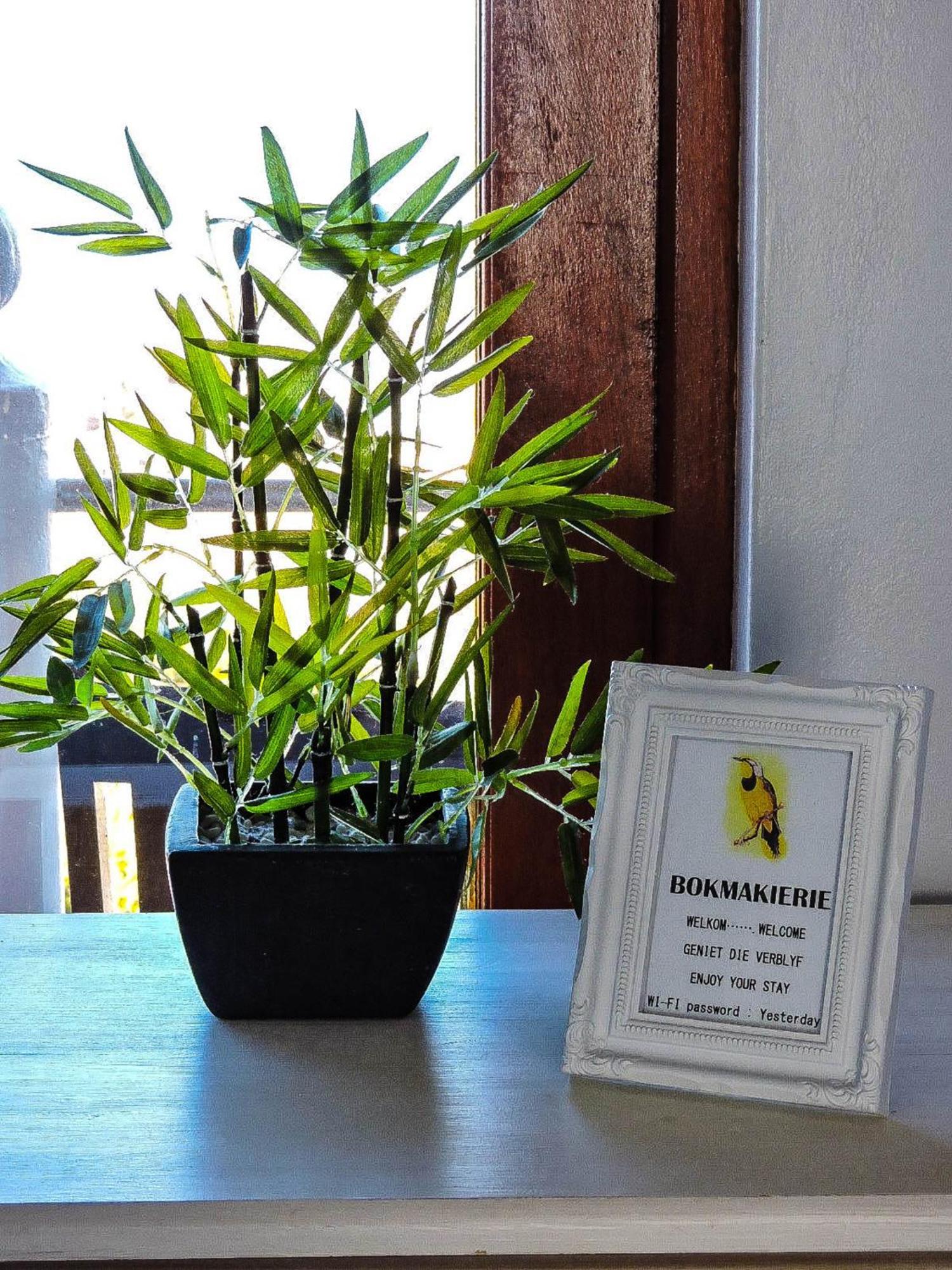 Amzee Bokmakierie Guest House Dana Bay Zewnętrze zdjęcie